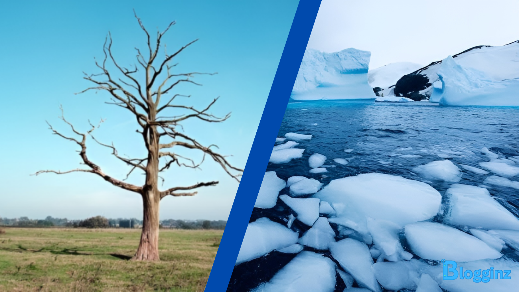 How Does Climate Change Affect Human Health | Blogginz